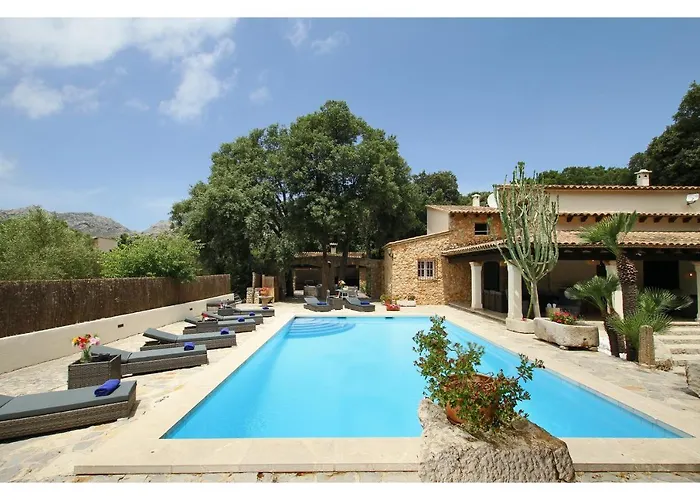 Encinas Port de Pollenca