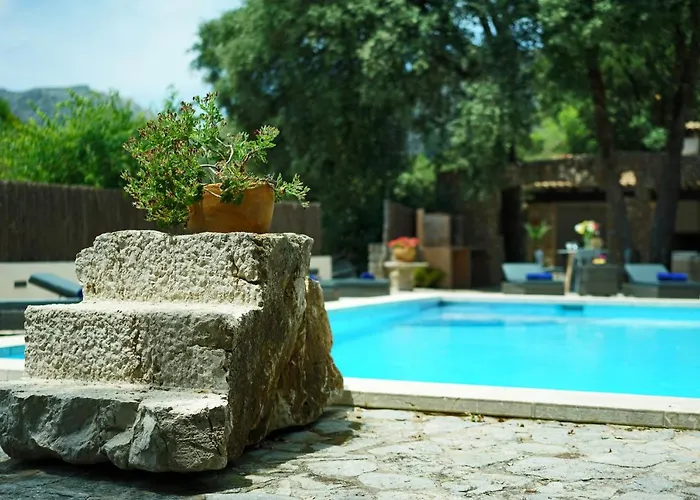 Encinas Port de Pollenca